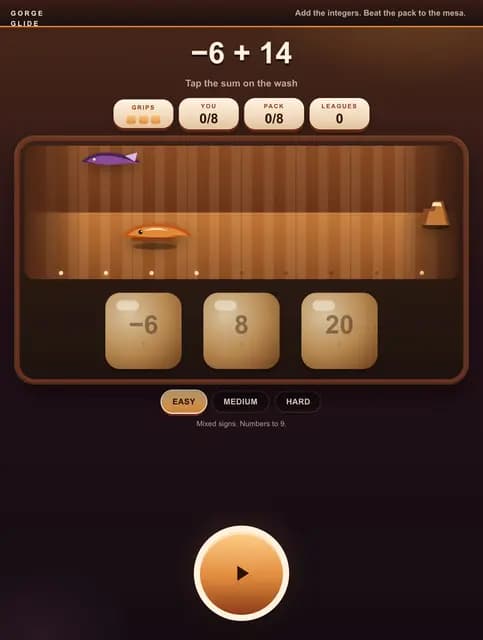 Adding Integers Race